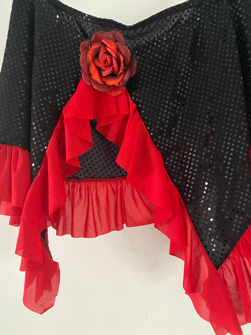 red rose black sequin skirt/shawl