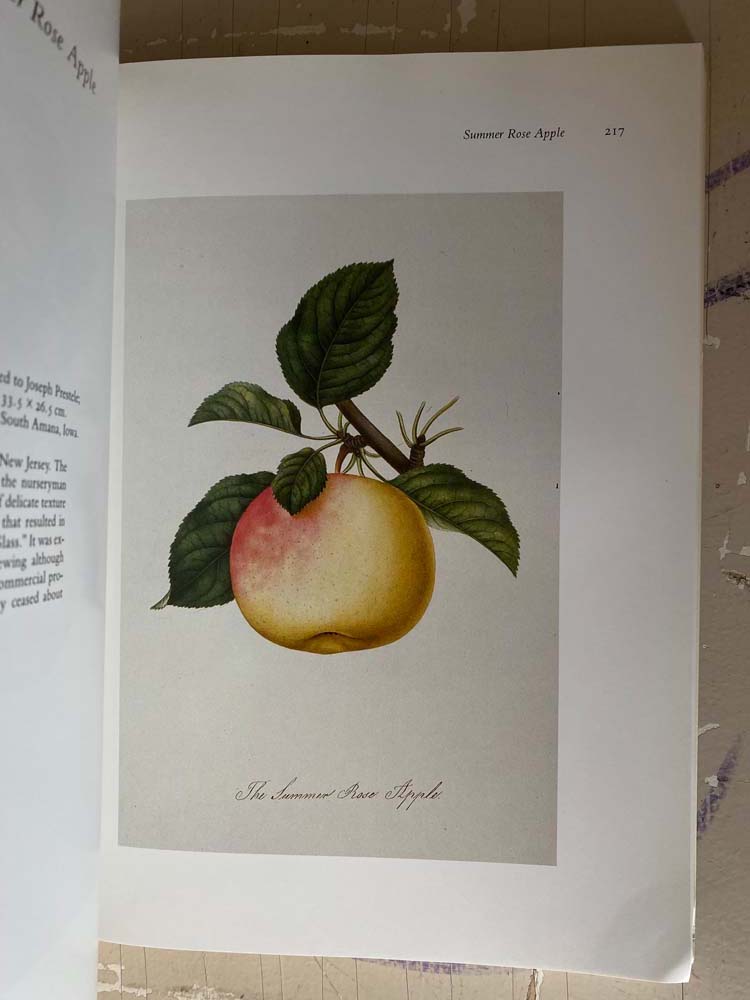 drawn from nature: the botanical art of joseph prestele and his sons by charles van ravenswaay