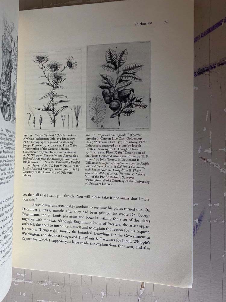 drawn from nature: the botanical art of joseph prestele and his sons by charles van ravenswaay