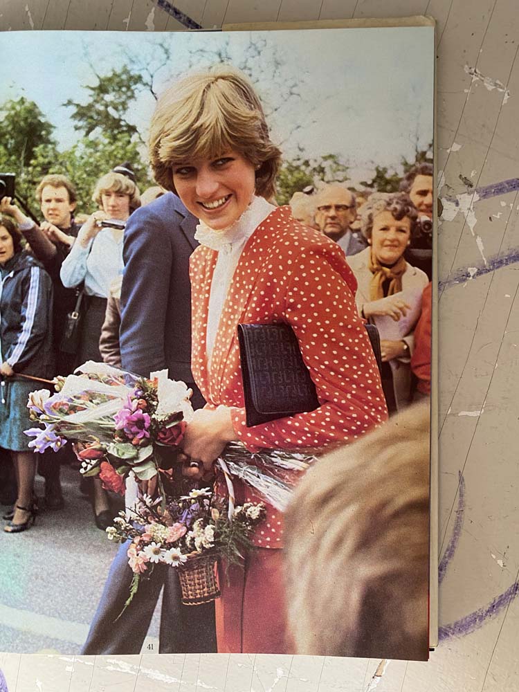invitation to a royal wedding by kathryn spink