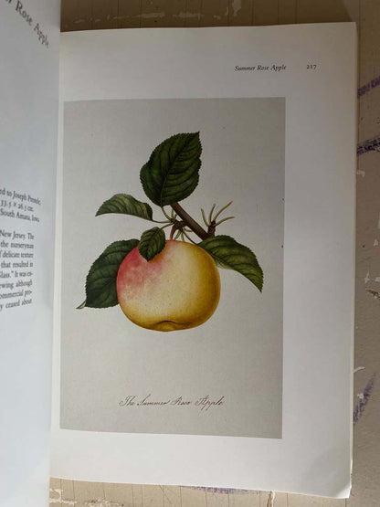 drawn from nature: the botanical art of joseph prestele and his sons by charles van ravenswaay
