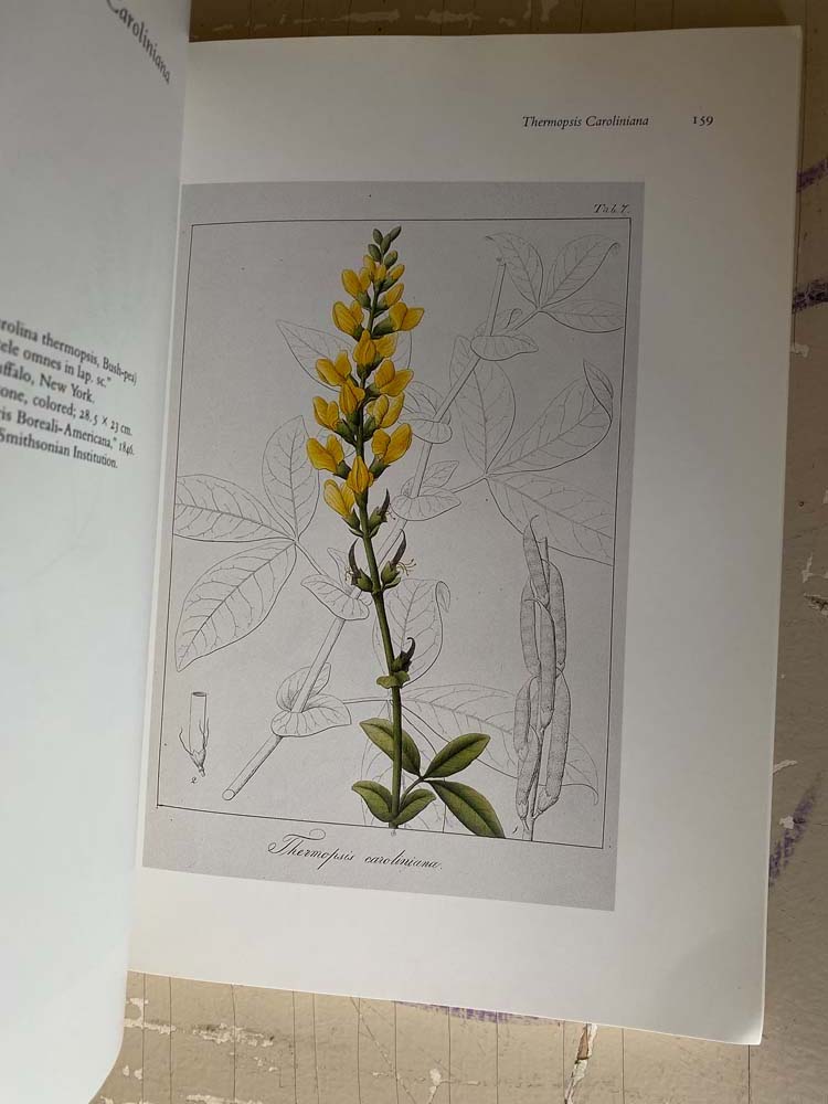 drawn from nature: the botanical art of joseph prestele and his sons by charles van ravenswaay